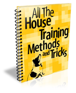 dog training secret